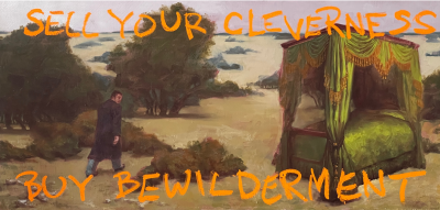 Darvish Fakhr Buy Bewilderment 2023