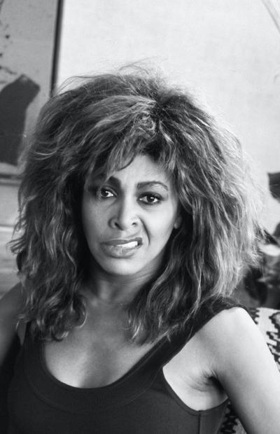 Dave Hogan Tina Turner Sneer