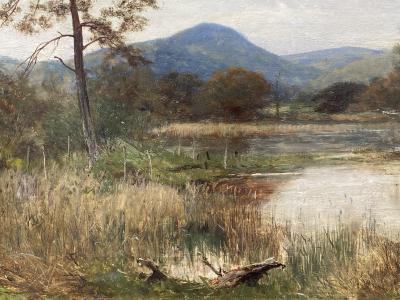 David Bates A Corner of Lowes Water 