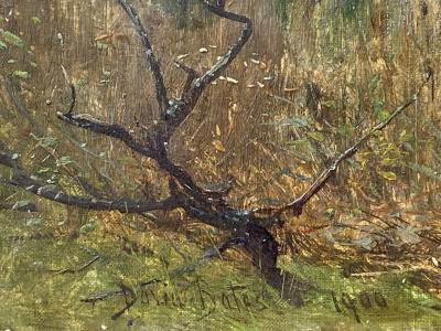 David Bates A Corner of Lowes Water 