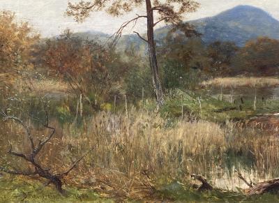 David Bates A Corner of Lowes Water 