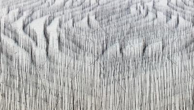 David Burdeny Bamboo 1 Fujan China