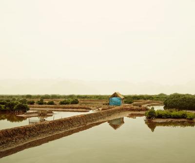 David Burdeny Blue Tarp Phu Long Vietnam
