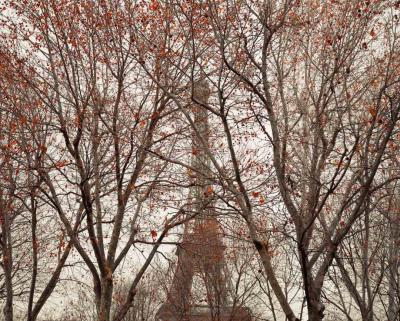 David Burdeny Eiffel Tower Paris France