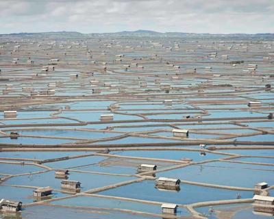 David Burdeny Fish Farms Bima Indonesia