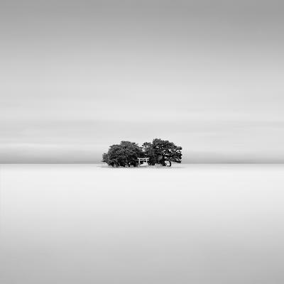 David Burdeny Flooded Lake Japan
