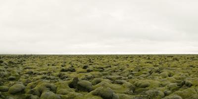 David Burdeny Moss Covered Lava Field Iceland