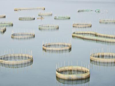 David Burdeny Nets 2 Ningde Fujian People s Republic of China