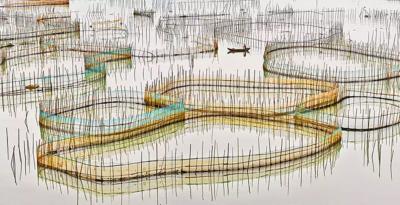 David Burdeny Nets Study 5 China