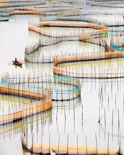 David Burdeny Nets vertical Fujian Provence China