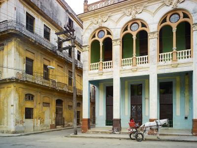 David Burdeny Old Havana Horse Havana Cuba