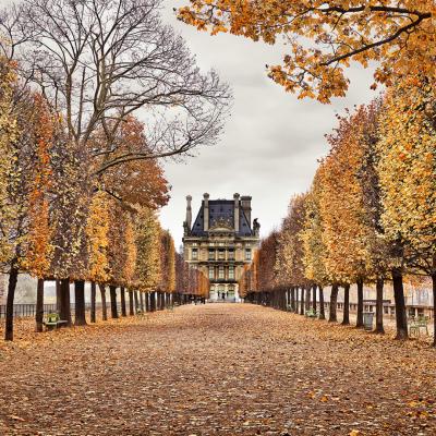 David Burdeny Red Leaves Paris France