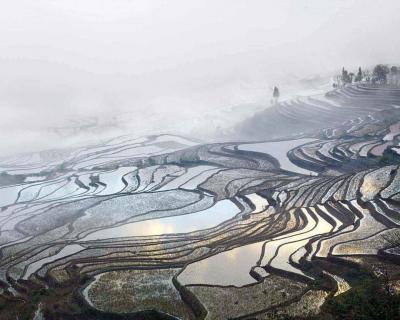 David Burdeny Rice Terraces Duoyishu Yunnan China