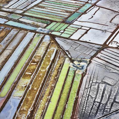 David Burdeny Saltern Study 2 Near Sea of Cortez Mexico