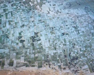 David Burdeny Seaweed Farms II Bali Indonesia