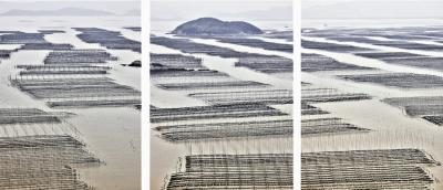 David Burdeny Seaweed Farms triptych China