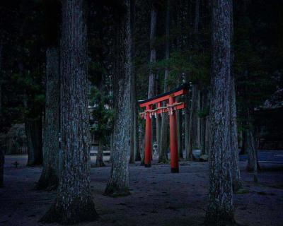 David Burdeny Torii Gate Koyasan Japan