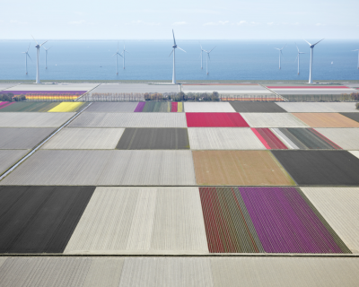David Burdeny Tulips and Turbines 01 Noordoostpolder Netherlands