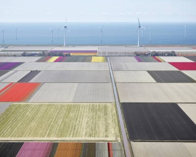 David Burdeny Tulips and Turbines 02 Noordoostpolder