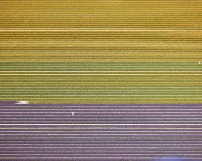 David Burdeny Veld 10 Noordoostpolder Flevoland The Netherlands