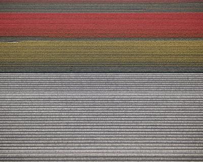 David Burdeny Veld 14 Noordoostpolder Flevoland The Netherlands