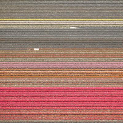 David Burdeny Veld 15 Noordoostpolder Flevoland The Netherlands