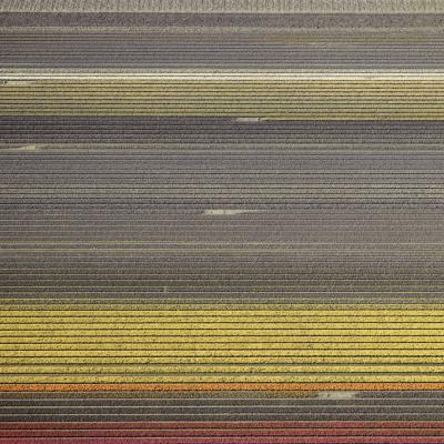 David Burdeny Veld 17 Noordoostpolder Flevoland The Netherlands