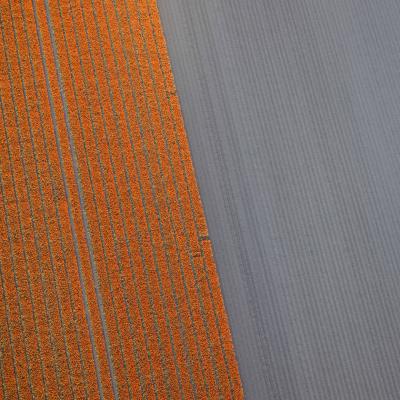 David Burdeny Veld 22 Noordoostpolder Flevoland The Netherlands