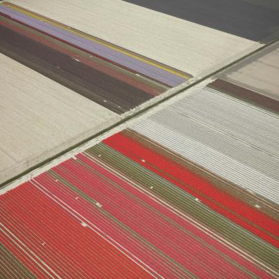 David Burdeny Veld 23 Noordoostpolder Flevoland The Netherlands