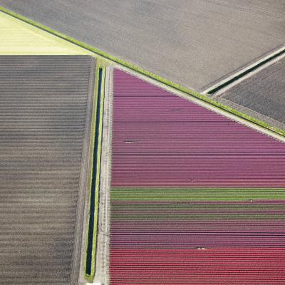 David Burdeny Veld 24 Noordoostpolder Flevoland The Netherlands
