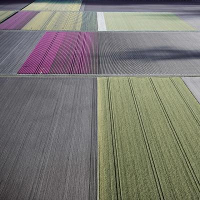 David Burdeny Veld 25 Noordoostpolder Flevoland The Netherlands