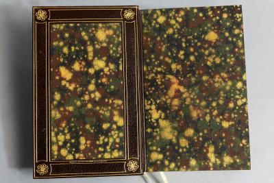 David Copperfield Charles Dickens