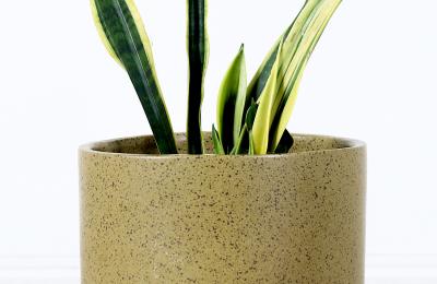 David Cressey California Modern Pro Artisan Olive Green Stoneware Planter by David Cressey
