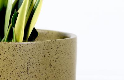 David Cressey California Modern Pro Artisan Olive Green Stoneware Planter by David Cressey