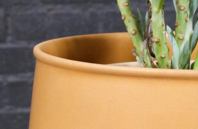David Cressey Californian Pro Artisan Mustard Planter by David Cressey Raul Coronel