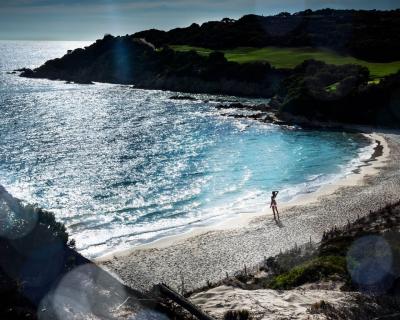 David Drebin ALONE IN PARADISE