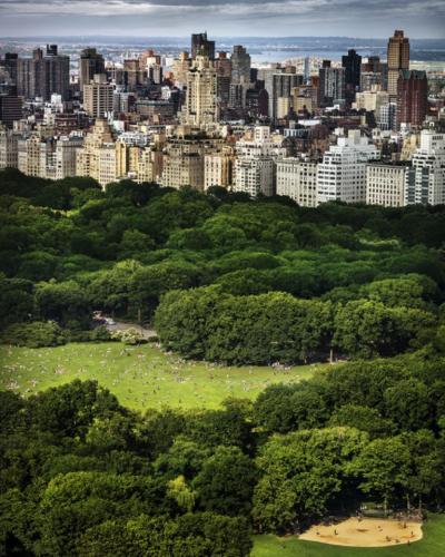 David Drebin Chasing Paradise