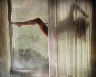 David Drebin Fever Dream