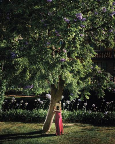 David Drebin Garden Fever