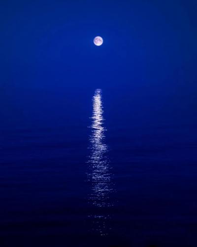 David Drebin MOONBEAM