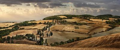 David Drebin Tuscan Dream