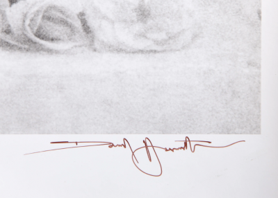 David Hamilton Roses in Pitcher