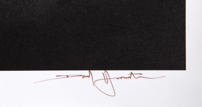 David Hamilton Vineyards