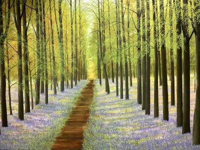 David J Williams Bluebell Wood