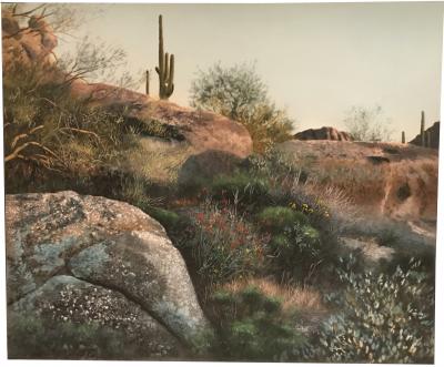 David Kessler Sonoran Display