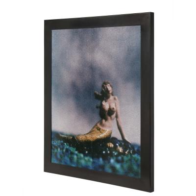 David Levinthal David Levinthal Large Unique Metallic Tinted Mermaid Print 1993