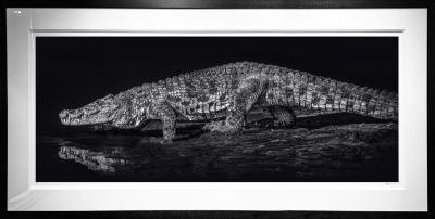 David Yarrow 10 000 BC