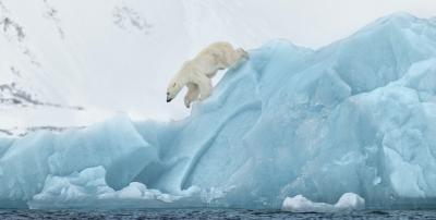 David Yarrow 80 degrees North