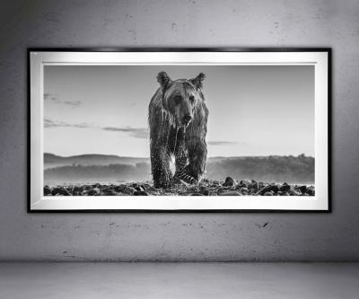 David Yarrow Bear Island