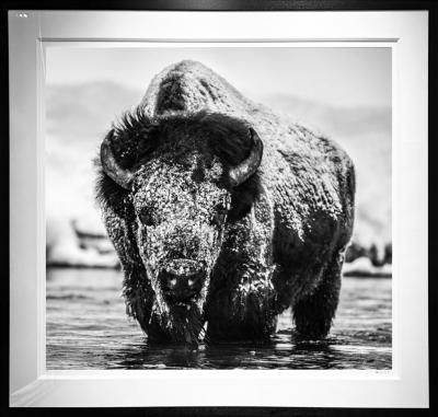 David Yarrow Boogie Nights